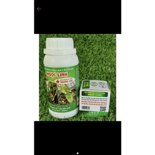 Combo trị thối nhũn cho lan A8 và T8 Ngọc Linh