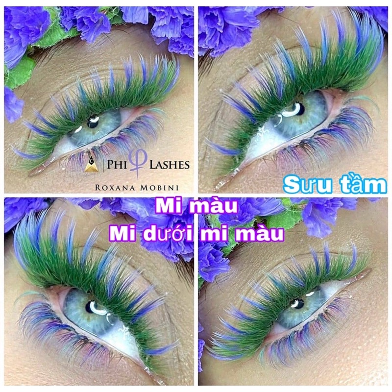 Mi nối Mi dưới và B 0.07 & 0.10