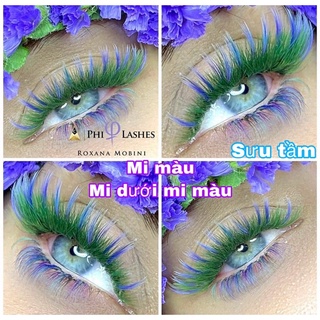 (now)Mi nối Mi dưới và B 0.07 & 0.10