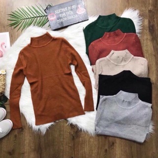 Áo len tăm cổ cao 5P (8101#)