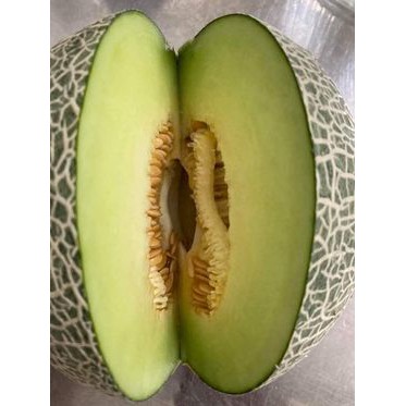 Hạt Giống Dưa Lưới Ruột Xanh Giòn Ngọt 25-30 Hạt - F1 Chiatai
