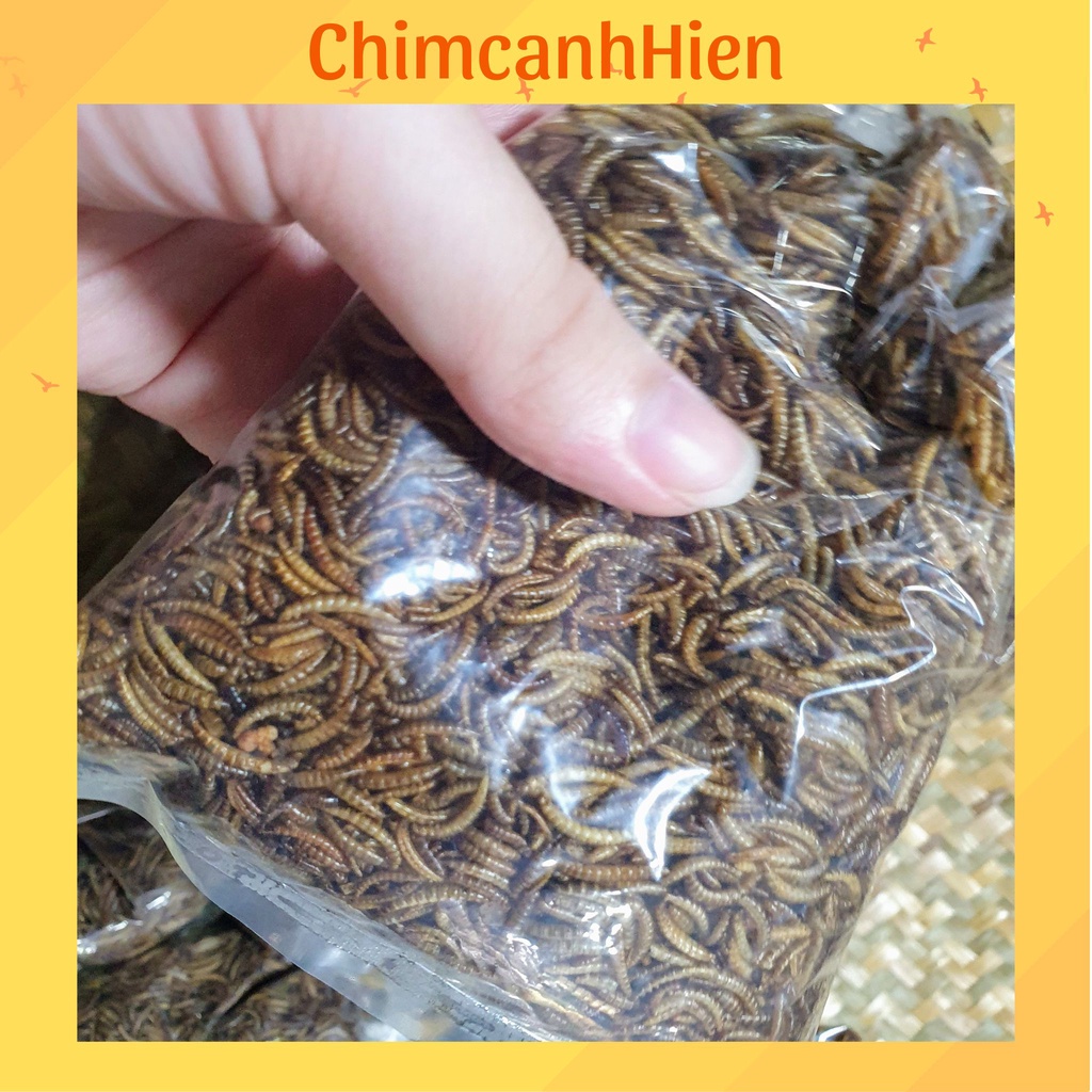 Sâu khô giàu đạm cho hamster, chim cảnh