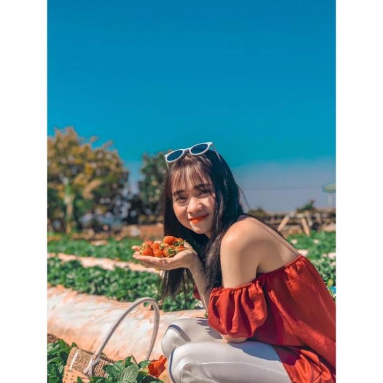 TBO-Video ảnh thật,Sét áo đỏ trễ vai tay rộng mặc 2 kiểu kèm quần trắng ống rộng cực cá tính TASA