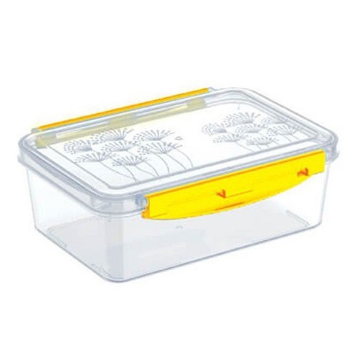 Hộp quai gài Matsu Duy Tân nhỏ trung lớn