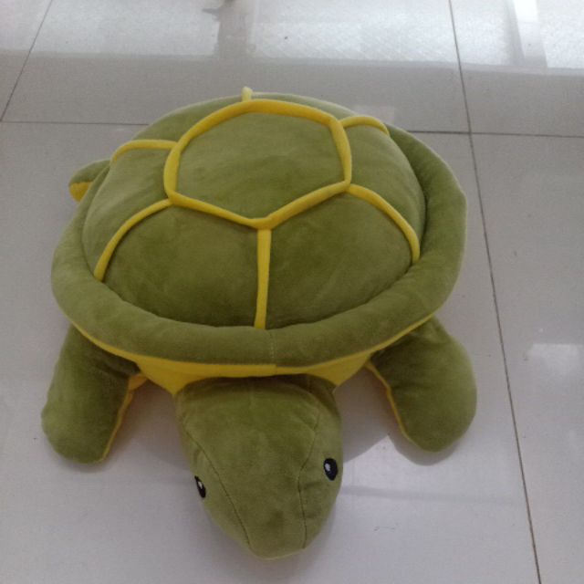 Gấu bông (rùa miniso)