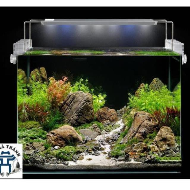 hh Đèn Máng LED AquaBlue 30cm, 60cm, 80cm,100cm. đèn cho bể cá cảnh, bể thủy sinh.