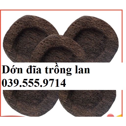 5 DỚN TRỒNG LAN (DỚN ĐĨA) - giữ ẩm cho lan