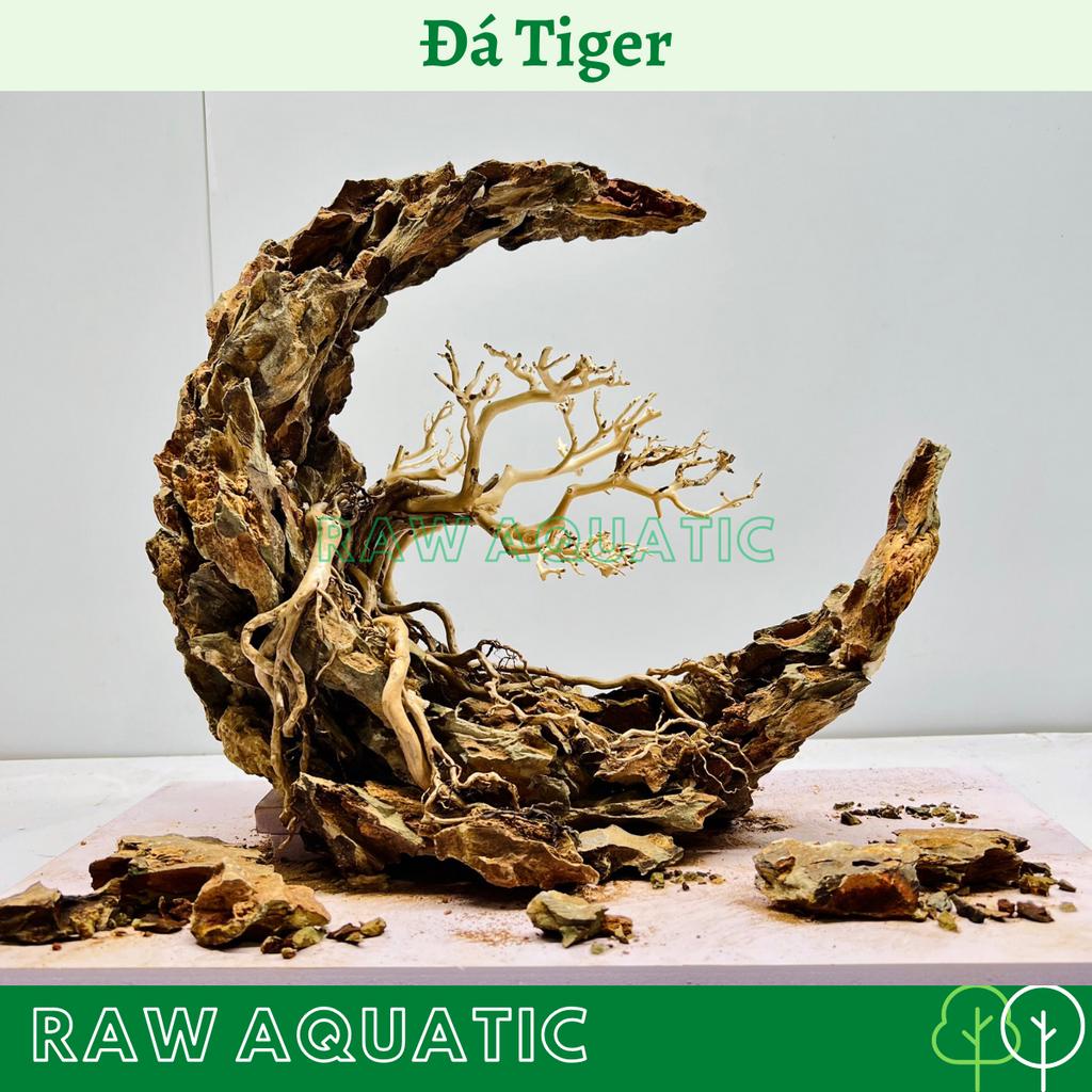 Đá Tiger Trang Trí, Setup Bể Cá Cảnh, Bể Thủy Sinh