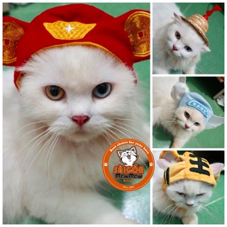 Mũ cute cho thú cưng
