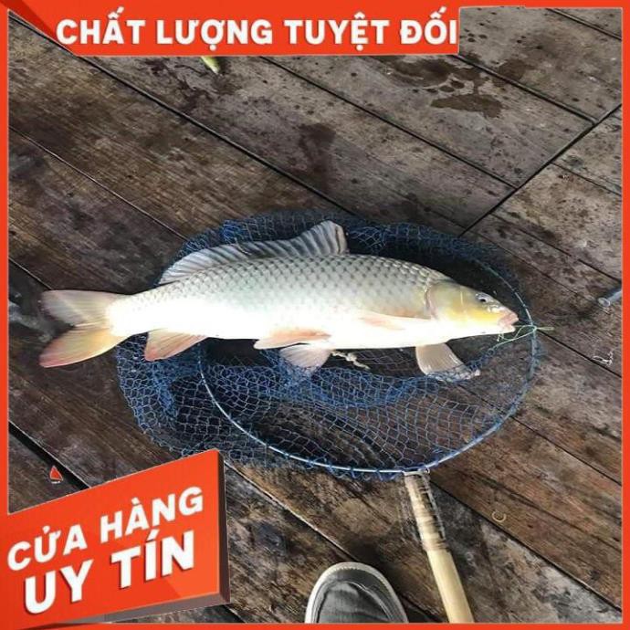 CÁM HUỲNH KHOA CÂU CÁ SIÊU NHẠY- MỒI CÂU CÁ HUỲNH KHOA TRA,TRÊ,MÈ,CHÉP,RÔ PHI