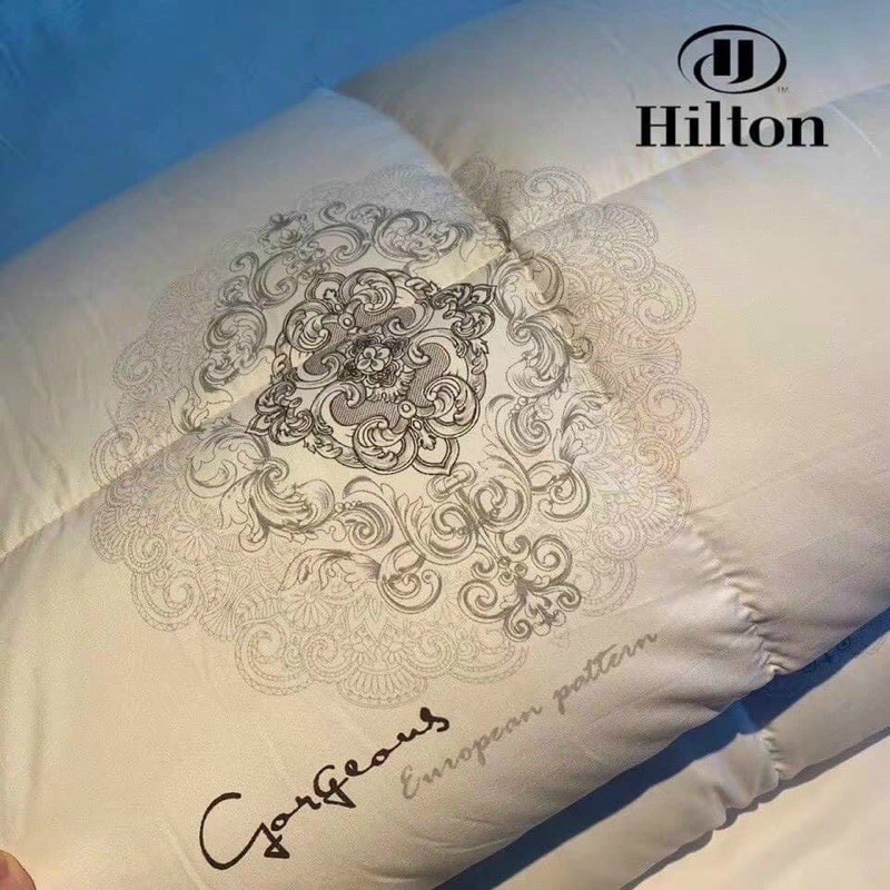 Ruột Chăn Lông Vũ Hilton Cao Cấp SweetHome