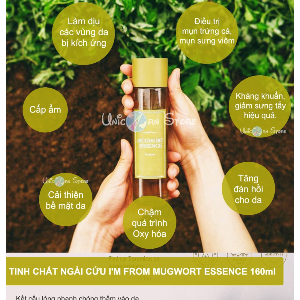 Tinh Chất Ngải Cứu Làm Dịu và Dưỡng Ẩm I'm From Mugwort Essence 160ml
