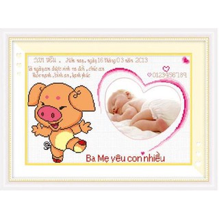 Tranh Thêu Chữ Thập 12 Con Giáp Hợi 222711 (KHÁCH TỰ THÊU) KT:54X38CM