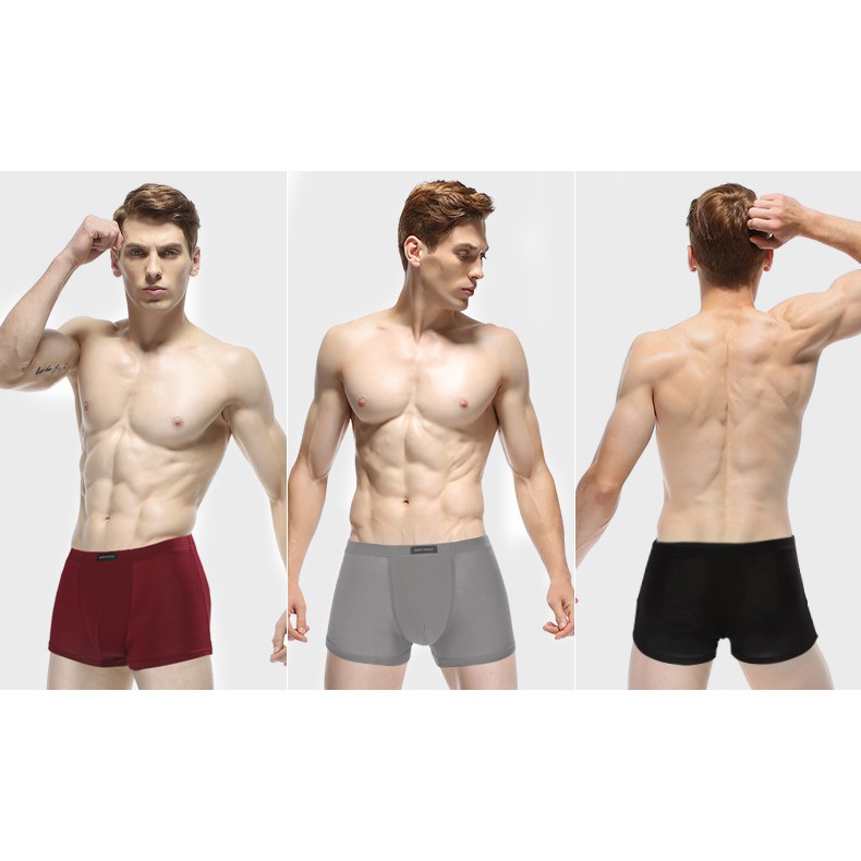 Combo hộp 4 quần lót nam Boxer cao cấp full size - Under Wear