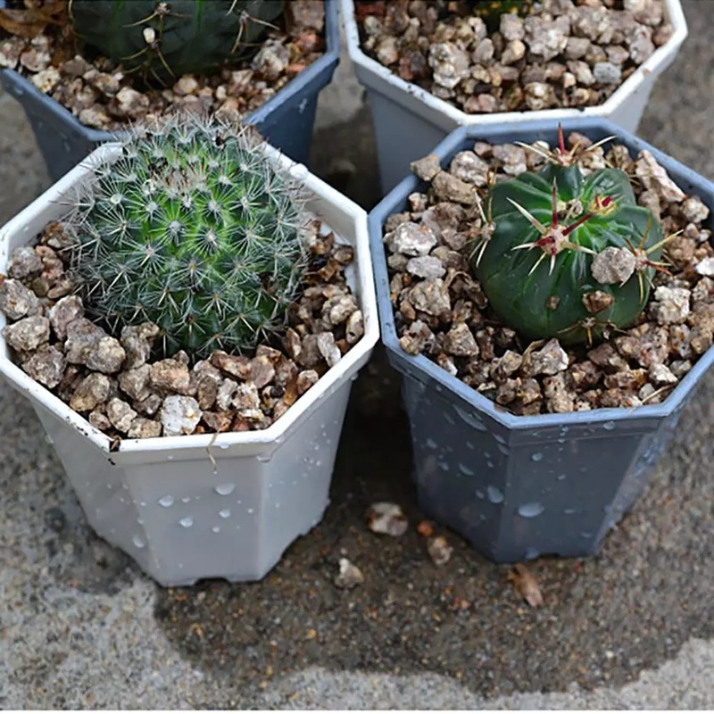 Chậu Hoa Nhựa Hình Bát Giác Kích Thước 6.8x7.4cm