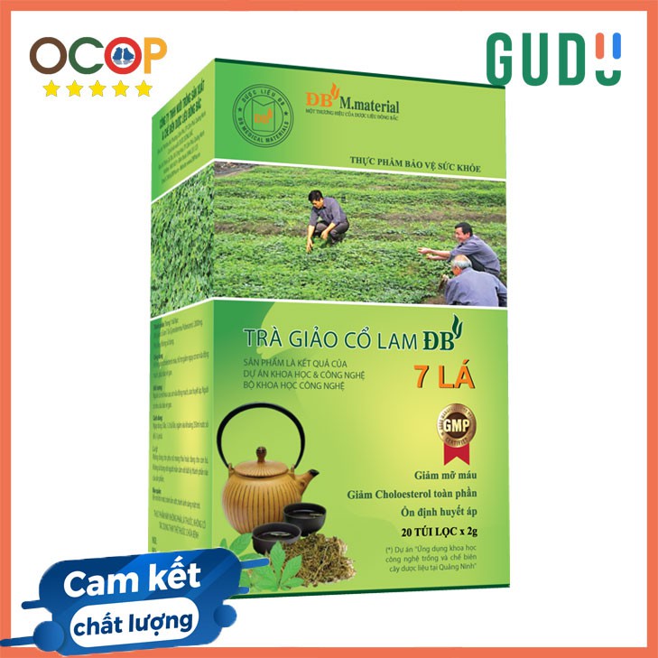 Trà Giảo cổ lam ĐB 5* OCOP Quảng Ninh, Bảo vệ tim mạch - Giảm Cholesterol, hạ mỡ máu, chống lão hoá, tăng sức đề kháng