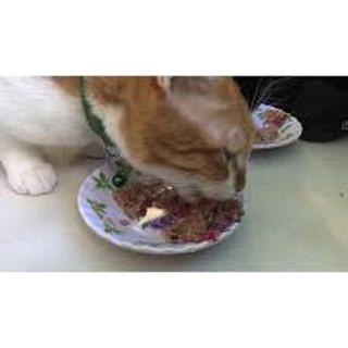 Thức ăn cho mèo Catsrang 400gr