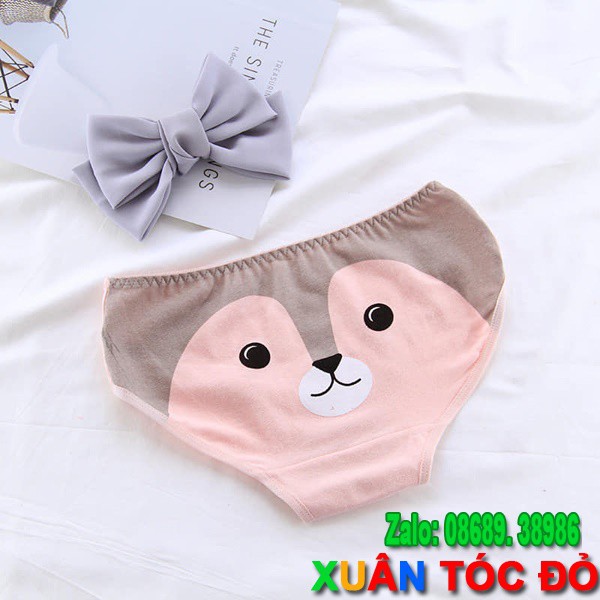 SỈ ZALO RẺ HƠN NHIỀU_ Quần Lót Mặt Loài Vật 5 Kiểu Siêu Dễ Thương 5070 | BigBuy360 - bigbuy360.vn