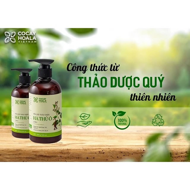 Dầu Gội Thảo Dược Hà Thủ Ô Giảm Rụng Tóc, Giảm Bạc Tóc, Kích Thích Sắc Tố Mầm Tóc Làm Đen Tóc- Lizan