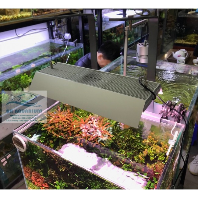 TẤM CHẮN SÁNG CHO ĐÈN VIVID 2, WRGB2