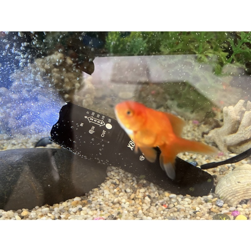 😍 Đèn pin siêu sáng, chống nước X800 chính hãng Mayor Wolf