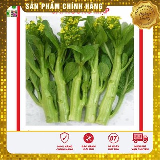Hạt giống Cải Ngồng Mập 20gram [Bán Sỉ]