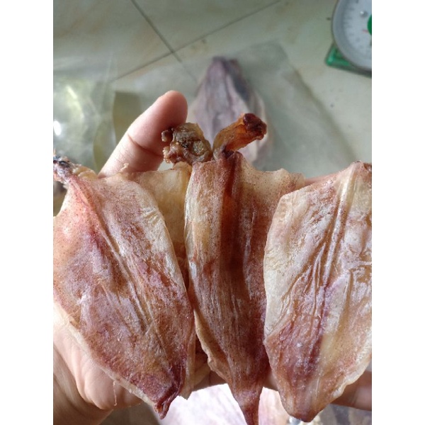 Mực câu mini 5k/ con(500g) | BigBuy360 - bigbuy360.vn