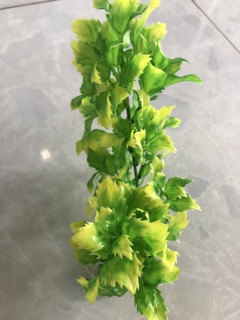 Rong Giả 20cm - Trang Trí Bể Cá