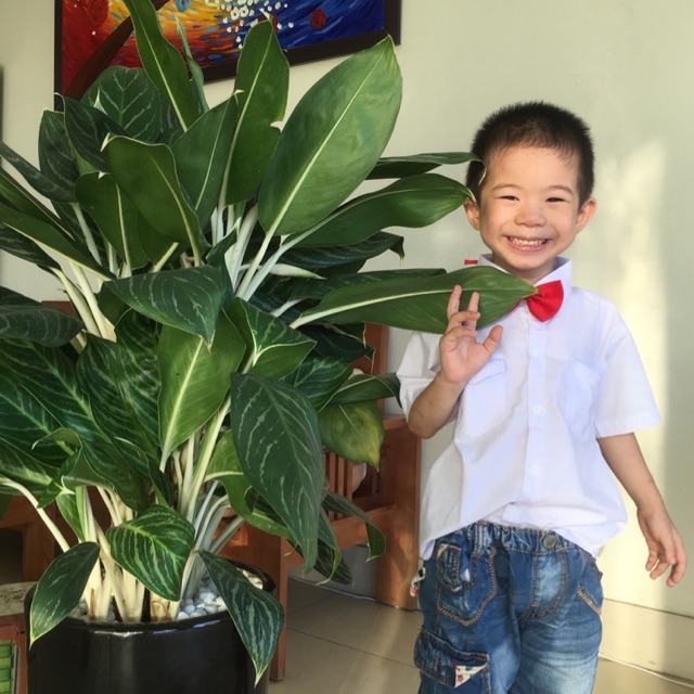minhminh5787