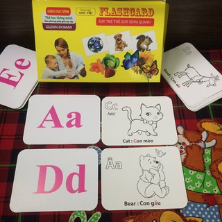 Combo Bộ thẻ học loại to và Bộ Tranh treo tường cho bé ( Bộ thẻ thế giới xung quanh loại to gồm 14 chủ đề và 280 thẻ )