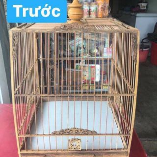 Nước tẩy mốc lồng chim Báu Lê