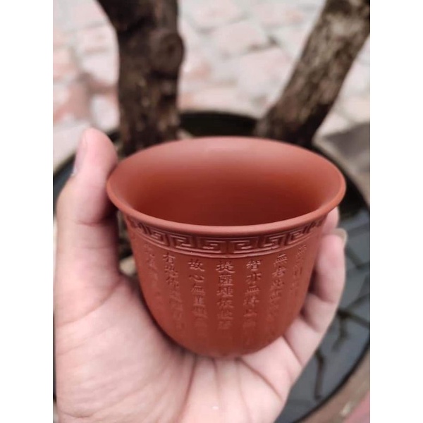 1 chén chủ tử sa đoàn phúc bách