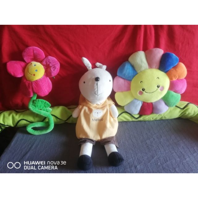 Gấu chị My