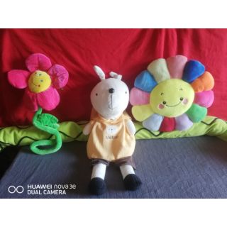 Gấu chị My