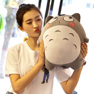 Gấu bông mèo totoro (40 cm) TNB197 - Do_luu_niem