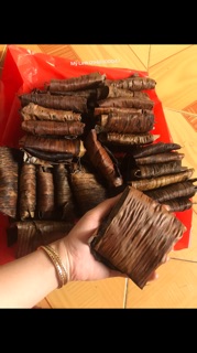 LÁ GAI LÀM BÁNH GAI ( tặng giống cây về trồng bao sống 100%)