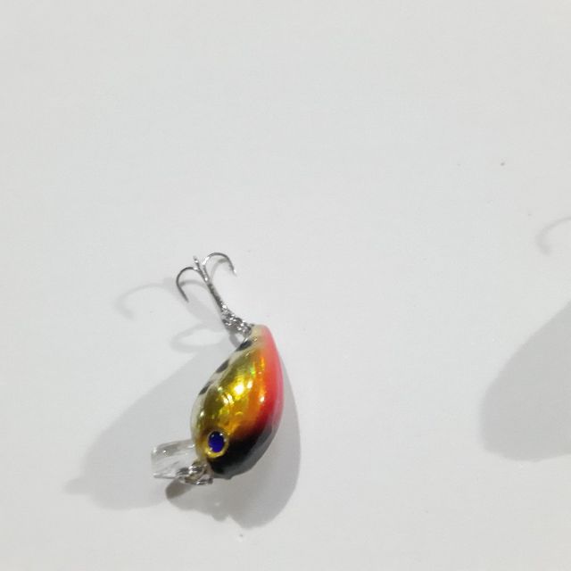 Combo 5 con mồi ruồi siêu nhậy( mua 10 tặng 1 )