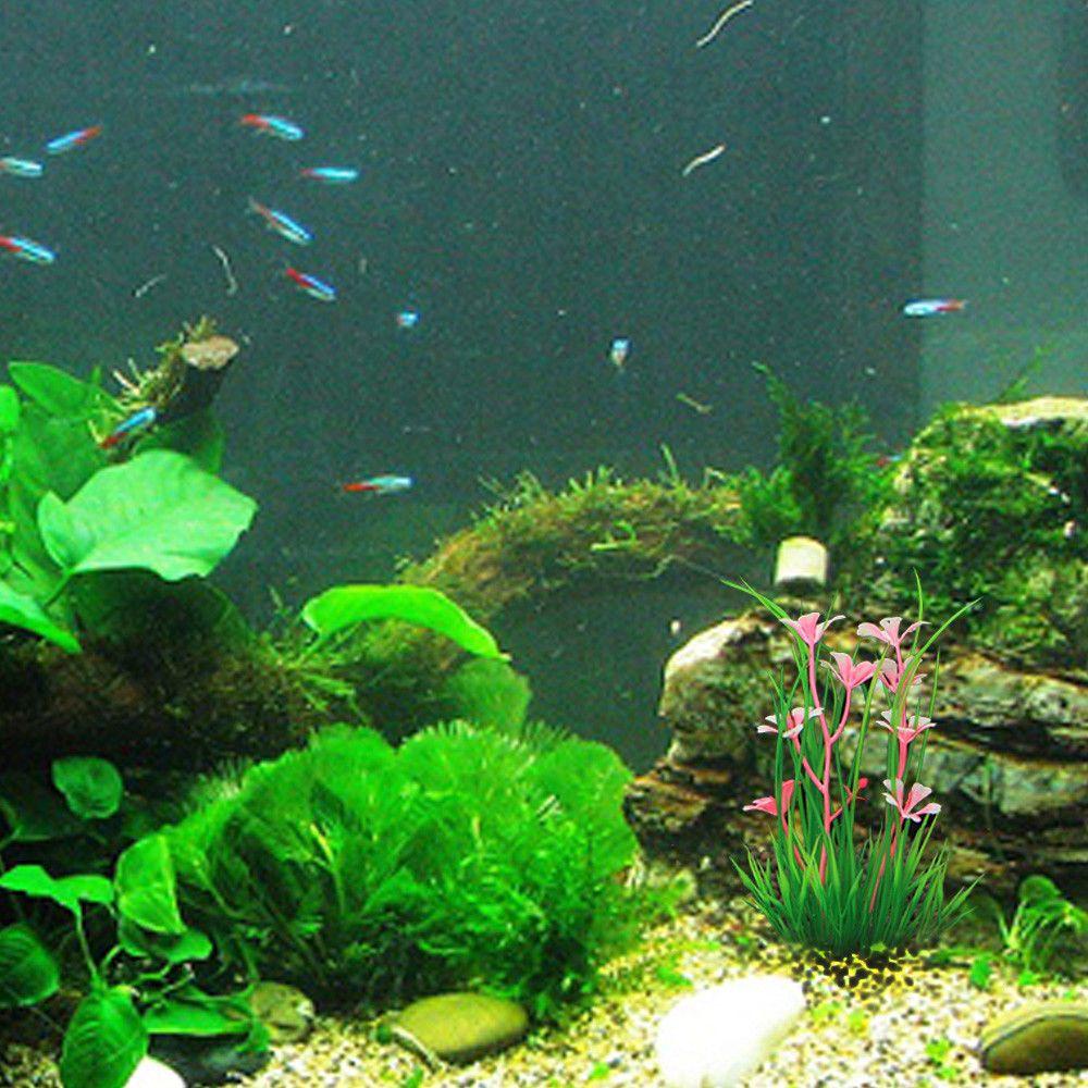 Hoa Lan Giả Trang Trí Bể Cá