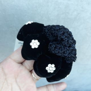 Chụp tóc nhung búi cao trung niên