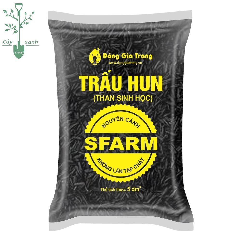 Trấu hun – Than sinh học