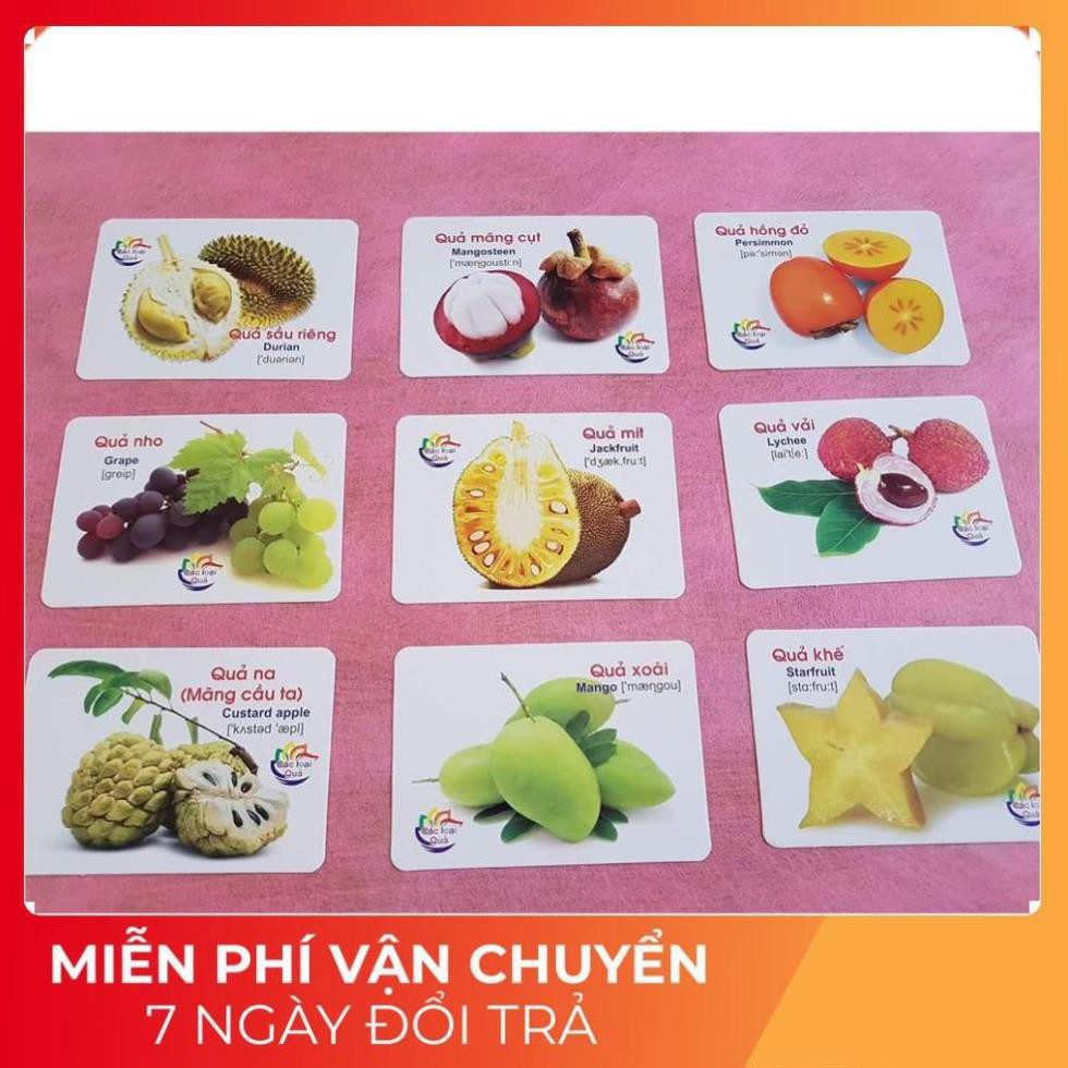 Bộ thẻ học thông minh Flash card 16 chủ đề 416 thẻ tiếng anh tiếng việt cho bé