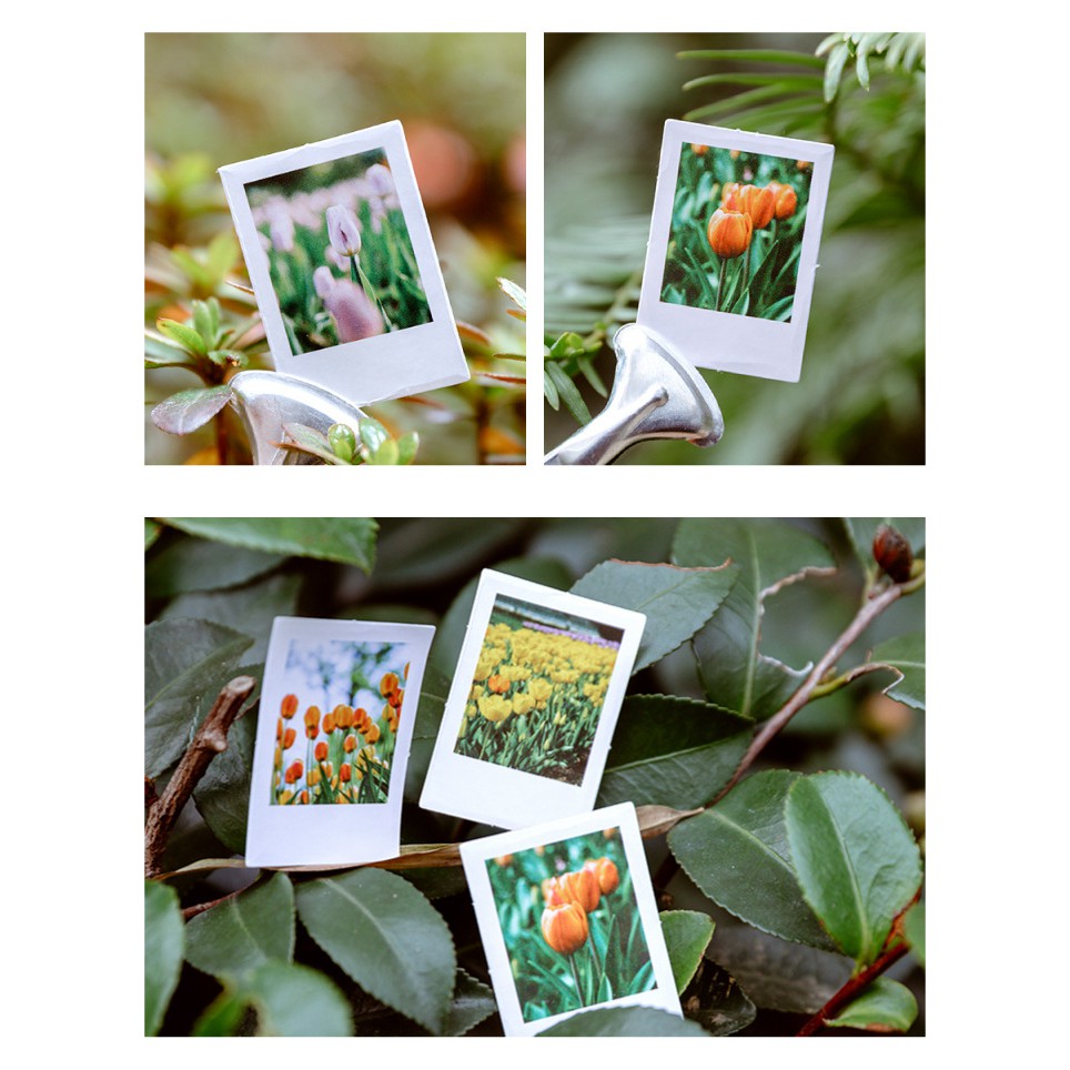 Set 46 nhãn dán hình tranh sơn dầu độc dáo