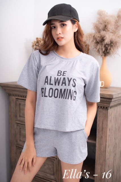 [Khuyến Mãi Sốc] Đồ Mặc Nhà - Cotton 100%- Mua 2 Tặng 1 | BigBuy360 - bigbuy360.vn