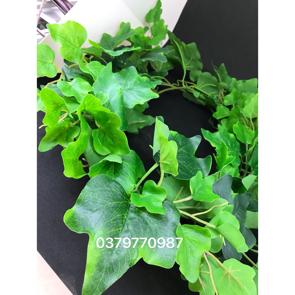 Cây giả - Dây leo nguyệt quế