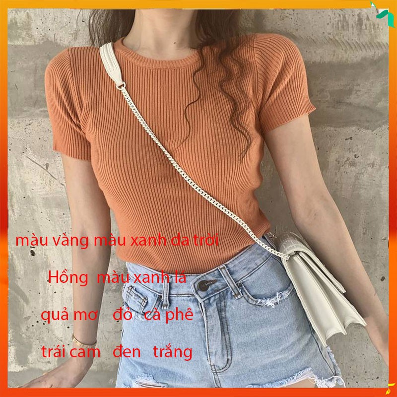 Áo thun ngắn tay cổ tròn màu sắc cầu vồng thời trang cho nữ