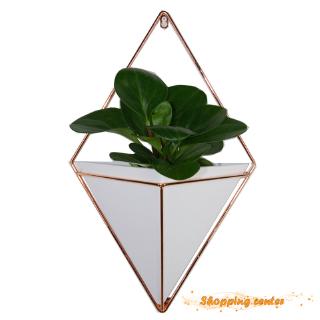 Bộ 2 chậu cây treo tường mini