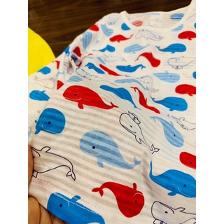 Bộ cotton giấy dài tay xuất Hàn