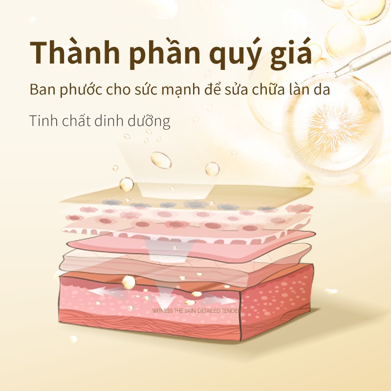 Tinh Chất BAIMISS Dòng Pore Refining 30ml | BigBuy360 - bigbuy360.vn