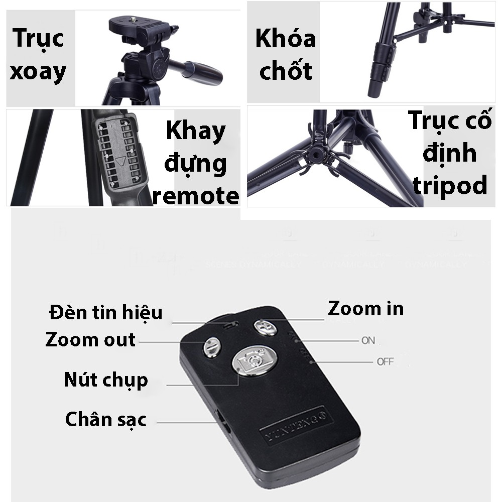 Chân máy ảnh tripod Yunteng VCT-5208