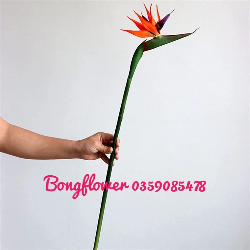 🥰 Cành hoa thiên điểu giả dài 80cm decor siêu xinh